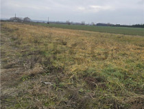 RECO Teren pentru loc de casa cu PUZ Osorhei-Fughiu