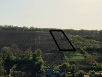 Proprietar Aroneanu Rediu Aldei teren 10500mp