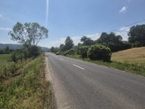 Berinta, 55 ari teren