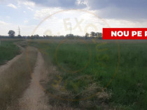 Teren Extravilan -8514 mp Stefanesti - STR. Sticlelor