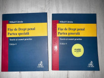 Fise de drept penal