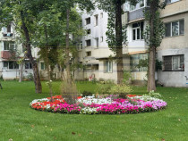 Apartament 2 camere decomandat Alexandru cel Bun