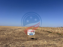 Teren intravilan de vanzare in Pielesti