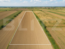 Teren de vânzare – 11.600 mp – Stupini