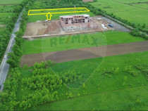 Teren 4,000mp Cicarlau / Strada Principala intravilan