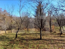 Oportunitate de investiție agricolă &ndash; Teren extravilan d