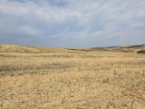 Teren Negureni, cota parte 1/8, ID: R2695094