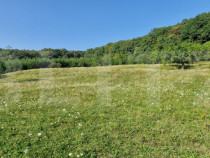 Teren de vanzare, 1Ha in apropiere de cartierul RAAL