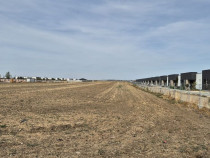 Teren intravilan 16.248 mp - Domnesti