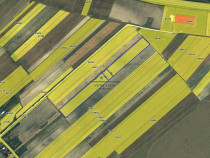 Teren agricol extravilan – Rătești, Argeș