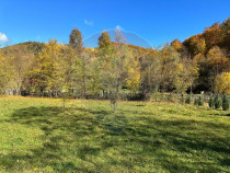 Teren de vanzare Cuiejdel 1350 mp