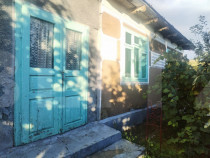 Casă tradițională cu teren generos – Brăești, Botoșa