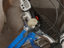 Bicicleta de dama sau bărbați