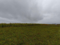 Teren intravilan, 5200mp, front 27ml, Fratautii Vechi, Radau