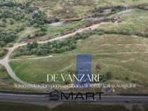 Teren 1100mp pe Valea Avrigului