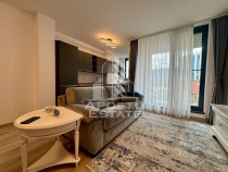 Apartament cu 2 camere ,Take Ionescu