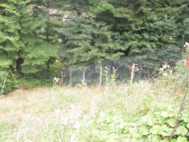 Busteni-Teren cu panorama superba de vanzare