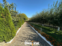 Proprietate 12.000 mp în Tătărusi, sat Uda – Bucovina M