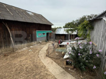 Casa batraneasca, 65 mp si teren intravilan 5600 mp, Adancat