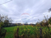 Teren intravilan 7370 mp in comuna Mera