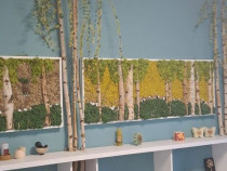 De inchiriat &ndash; Spatii de birouri in Micro 16, Galati