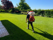 Mentenanță spații verzi - firma specializată Iași