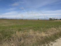 Teren intravilan 3700 mp - zona linistita