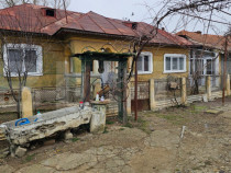 Casa batraneasca pe un singur nivel , 1700 mp teren, Bradest