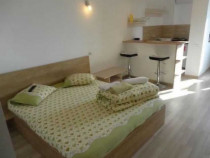 Garsoniera zona Garii