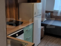 Garsonieră de v&acirc;nzare, 13 mp, zona Careiului