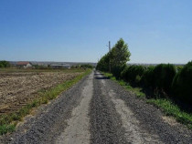 Teren intravilan Valu lui Traian, cota parte 3/48 ; ID: R...