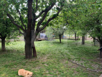 Teren intravilan + constructie, 1554 mp, Bosanci