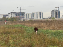 Teren intravilan 600mp