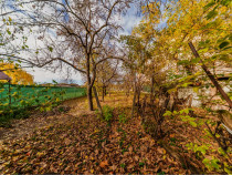 Casa individuală - cartier Pârneava, Arad