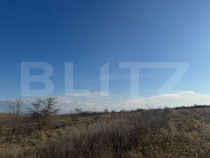 Teren extravilan 1700 mp, zona Archia