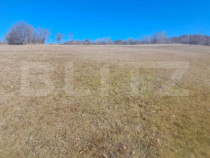 Teren intravilan, perfect pentru casa de vacanta, 5000 mp, A