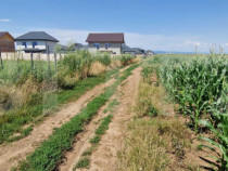 ???? Teren de v&acirc;nzare, partial intravilan &ndash; Izvor, Tărlu