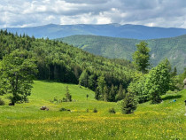 Terenuri extravilane – Cozieni, jud. Buzău 70000mp