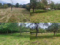 Teren 15826 mp + padure 1 ha