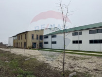 Ferma agro-industrială – 43 ha Adunații Copaceni