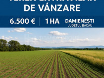 Teren extravilan agricol 1 ha de vânzare- Damienești, B...