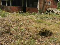 Firiza, 4,5 ari teren