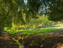 Teren Intravilan 3290 mp Codlea 3 Parcele