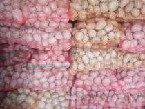 Cartofi de consum alb și roșu