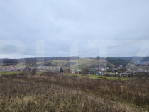 Teren intravilan 4756 mp de vanzare in Livezeni