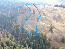 Teren intravilan 26232m.p. Dorna-Arini / Cozănești