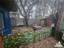 Casa din caramida si curte de 350mp in Rahova,
