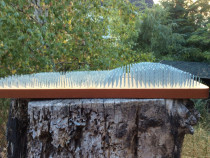 Placa anatomicа Sadhu.