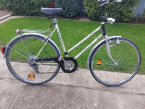 Bicicleta dama si barbati