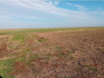 Cota de 3/8 din teren extravilan, Sacosu Turcesc, Jud Timis